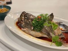 -唐宫海鲜舫