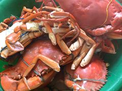 -尼甘布海鲜市场