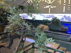 -潮上潮(南中环店)