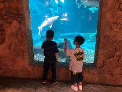 -华夏文旅海洋公园