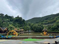 -西双版纳原始森林公园