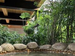 -三江森林温泉度假区