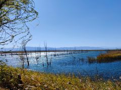 -野鸭湖国家湿地公园