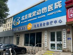 -北京观赏动物医院·24小时大型综合·猫专科·异宠专科