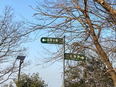 -紫金山山顶公园