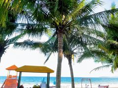 -三亚海棠湾万丽度假酒店