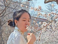 -桃花堤公园