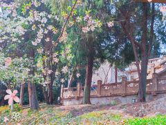 -武汉大学-樱园