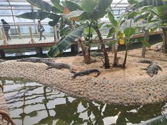 -石家庄市动物园