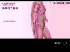 -裕和堂中医推拿艾灸(太古汇臻品店)