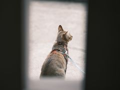 -Again Coffee Roaster(香蜜湖店)