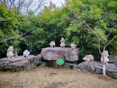 -东山风景区(洞庭东山)