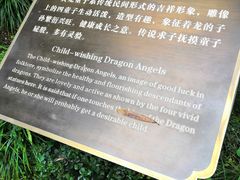 -杭州黄龙洞