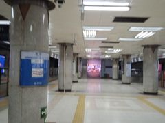 -大望路(地铁站)