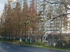 -苏浙汇(肇嘉浜路总店)