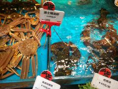-必点海鲜·鲅鱼水饺(鞍山西道店)