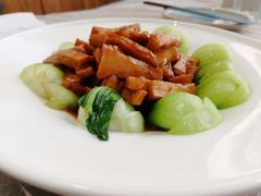 -东土食研所(渔港路店)