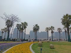 -金沙湖公园