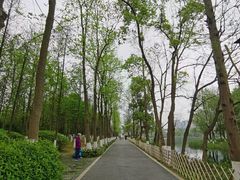 -洋湖国家湿地公园