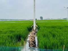 -稻梦空间冰雪小镇