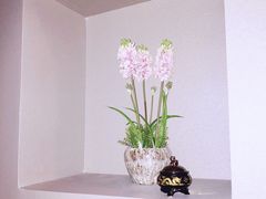 -水润江南尊尚养生馆(城南东路店)