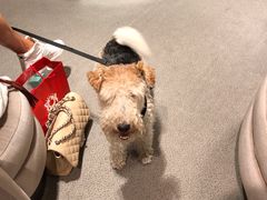 -文艺复兴百货(米兰大教堂广场店)