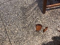 -巴人堂(女儿城店)