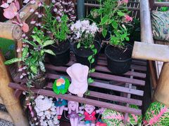 -Jungle Kitchen