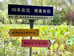 -洛阳市隋唐城遗址植物园