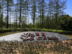 -东平国家森林公园