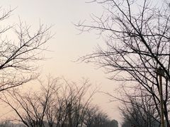 -长田漾湿地公园