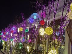 -莫多多餐厅