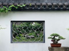 -上海醉白池公园