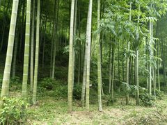 -黄公望隐居地
