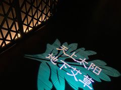 -端艾堂·SPA·艾灸(棕榈泉013店)