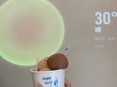 -海比甜店·意式手工冰激淋happy habit gelato