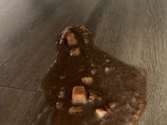 -佳雯宠物医院(四明中路分院)