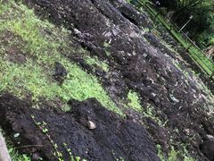-海口火山口国家地质公园