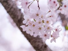-龙美术馆(西岸馆)