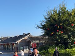 -恩阳古镇