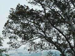-颐和园