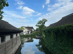 -鲁镇
