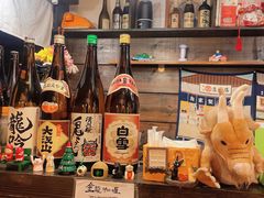 -金龙咖喱