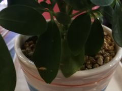 -小菜园新徽菜(常州武进吾悦店)