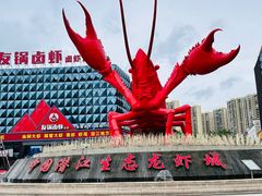 -五七小李子油焖大虾(总店)