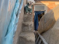 -北京恒爱动物医院(清景园分院)
