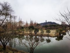 -焦山景区-万佛塔