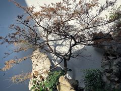 -胡雪岩故居