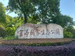 -官亭林海