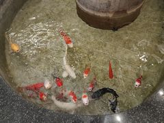 -古莲·影院足道·按摩SPA(水上温泉店)